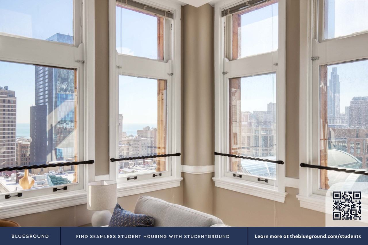 343 South Dearborn Street - Photo 7 of 33