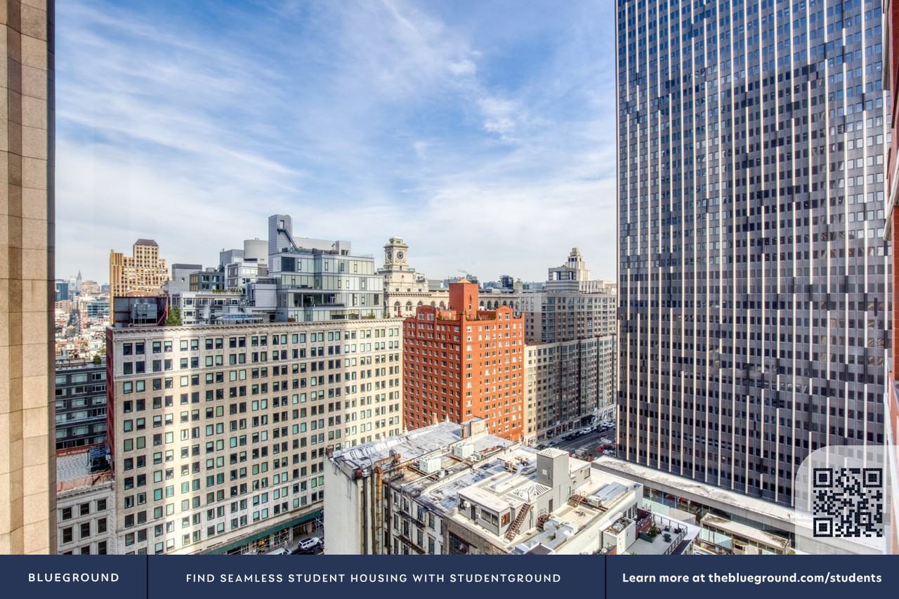 105 Duane Street - Photo 7 of 34