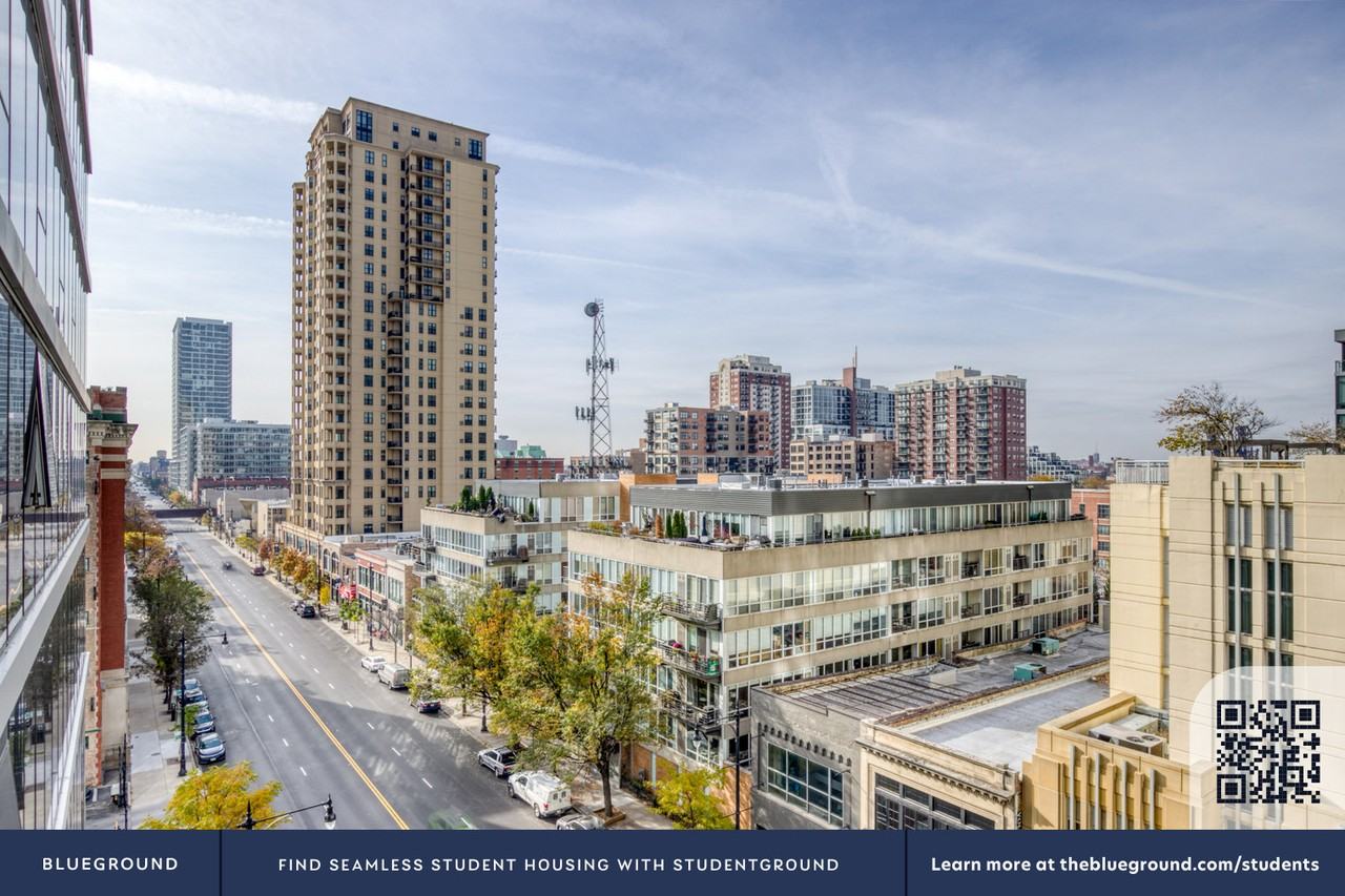 1407 South Michigan Avenue - Photo 6 of 36