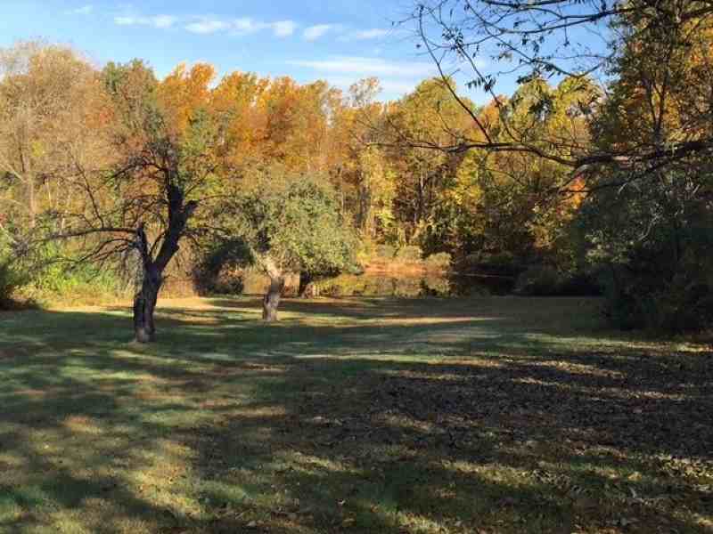 120 Fairmount Rd E - Photo 3 of 5