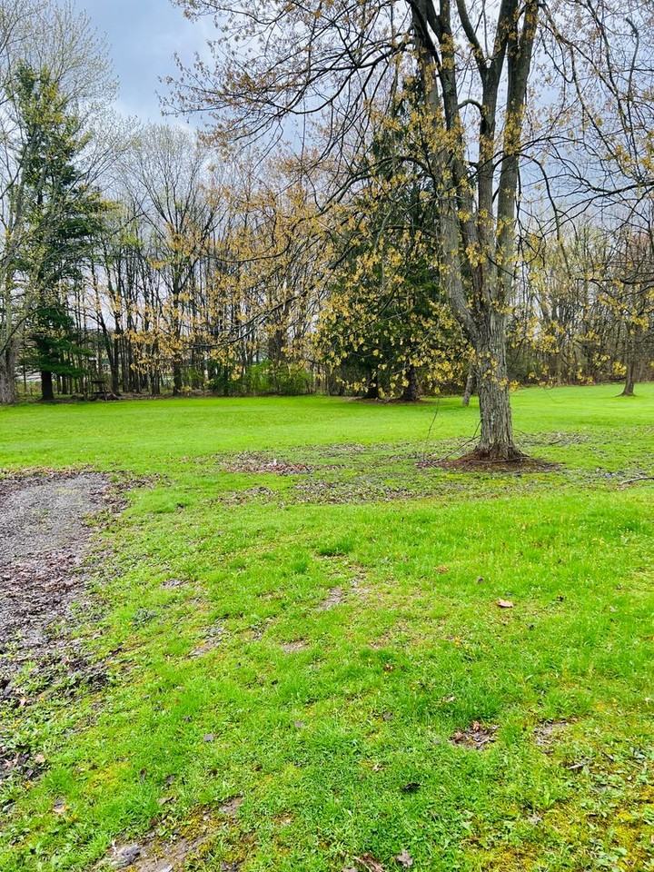 366 Dutch Ln - Photo 2 of 8