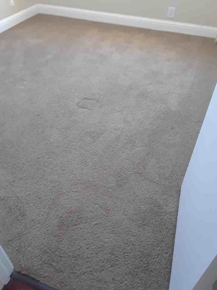 2732 Haste Street - Photo 7 of 50