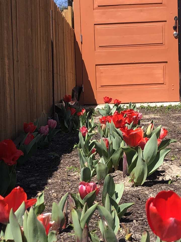 4703 Chapman St #NA - Photo 2 of 12