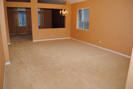 1033 Danielle Dr - Photo 2 of 33