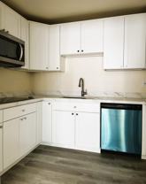 Brooklyn Maverick - BKMV - Photo 1 of 1