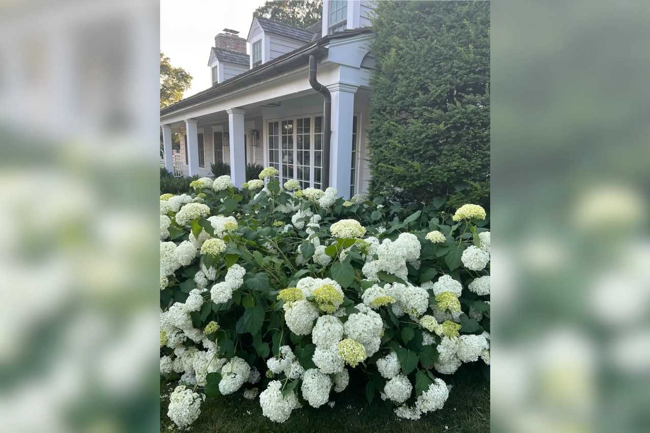 7 Bryan Rd - Photo 3 of 21