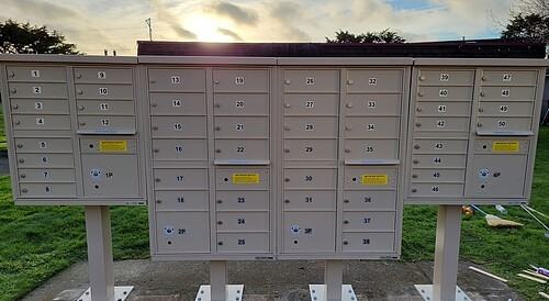 521 Cypress Street - Photo 6 of 18