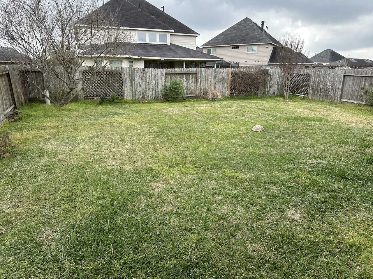 21523 Crainfeld Dr - Photo 7 of 7