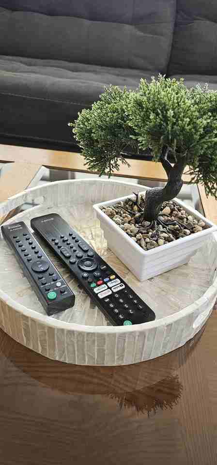 1206 Terrace St #1 - Photo 6 of 20