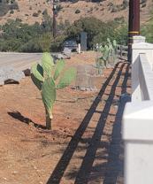 14519 Rios Canyon Rd #D - Photo 1 of 1