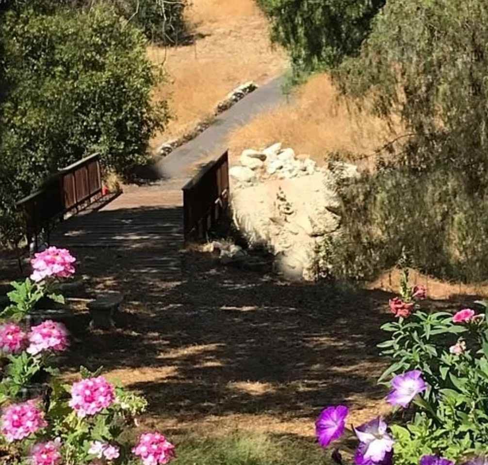 14519 Rios Canyon Rd #D - Photo 4 of 33