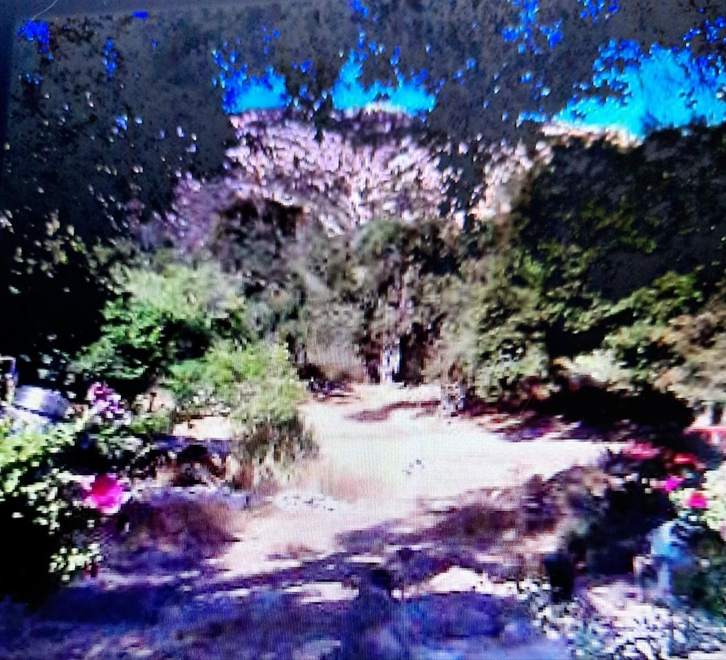 14519 Rios Canyon Rd #D - Photo 5 of 33