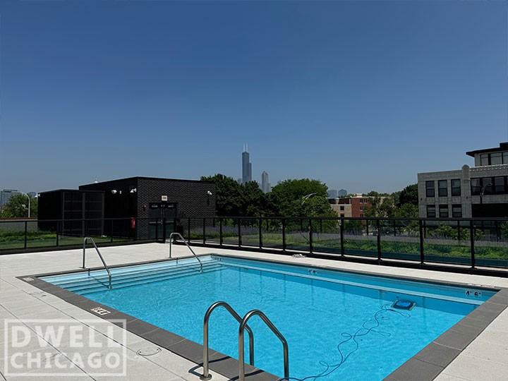 1461 S Blue Island Ave #214 - Photo 4 of 50