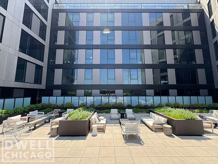 1461 S Blue Island Ave #214 - Photo 6 of 50