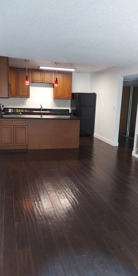 Euclid - Photo 2 of 15