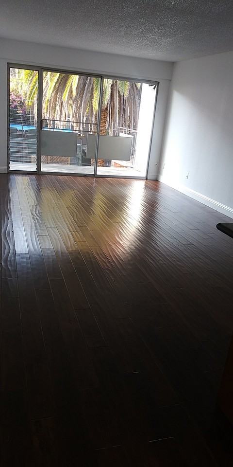 Euclid - Photo 3 of 15