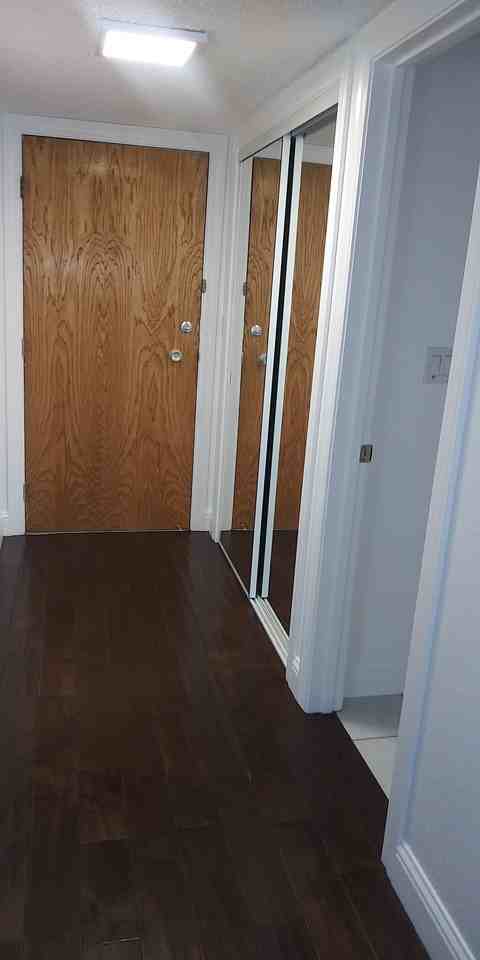 Euclid - Photo 4 of 15