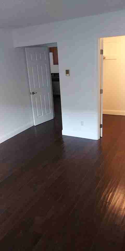 Euclid - Photo 5 of 15