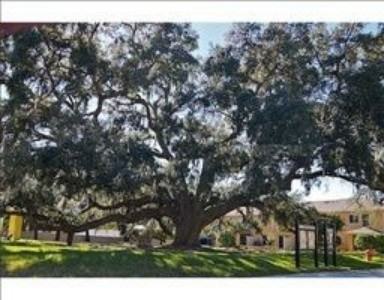 5309 Aloha Seed Drive #127160917 - Photo 4 of 11