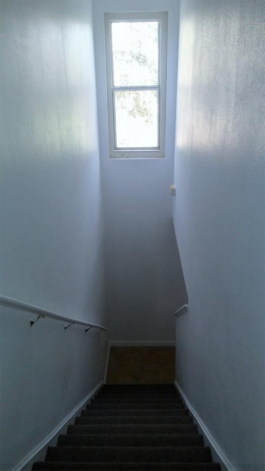 5309 Aloha Seed Drive #127160917 - Photo 7 of 11