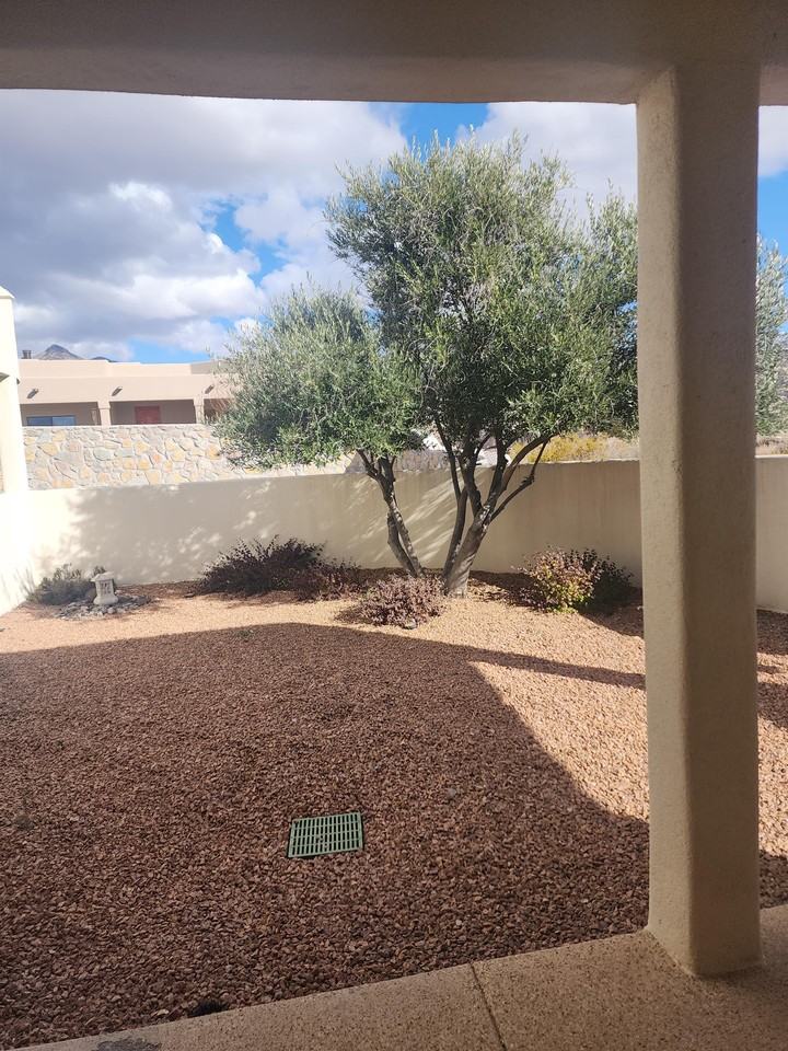 4975 Mother Lode Tr - Photo 3 of 26