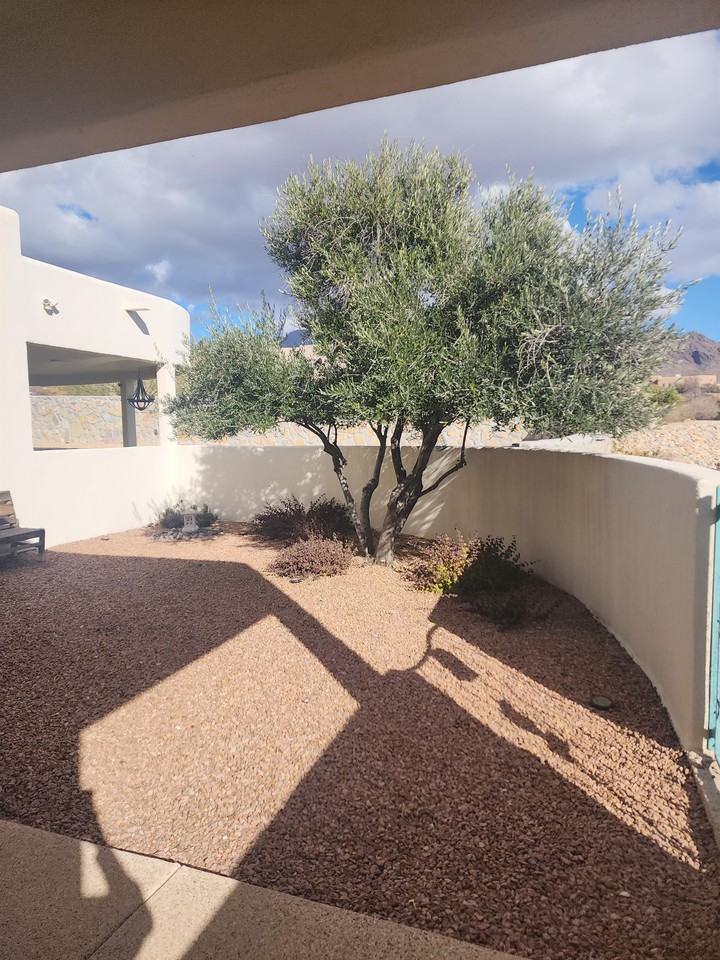 4975 Mother Lode Tr - Photo 4 of 26