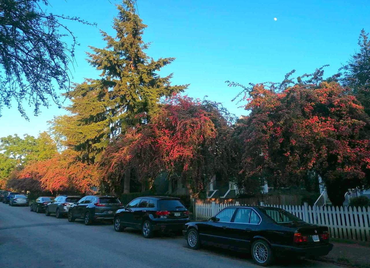 3663 West 3rd Avenue #2 - Photo 2 of 13