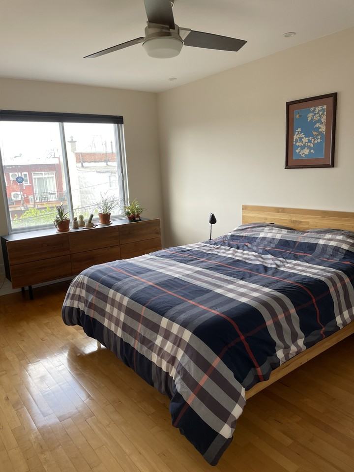 7376 Rue Saint-Denis - Photo 2 of 8