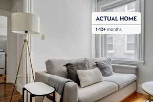 featured image of 49 Worthington St #1071