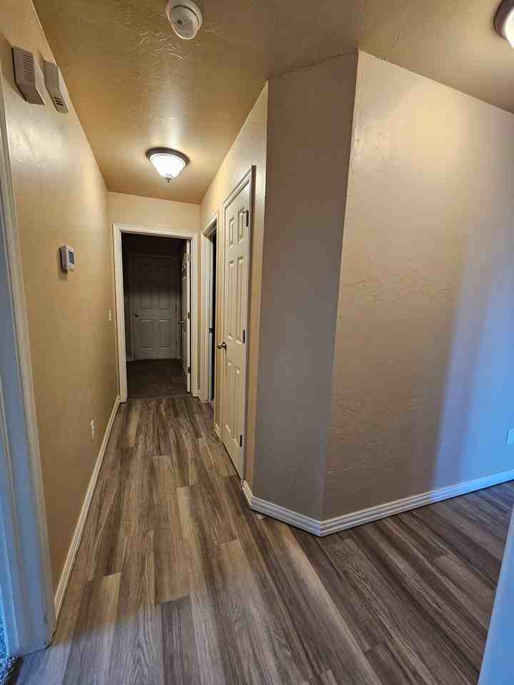 221 Dollina Ct - Photo 7 of 19