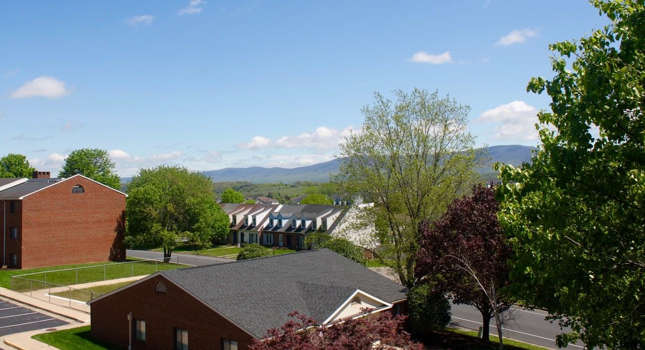 1010 Blue Ridge Dr - Photo 4 of 21