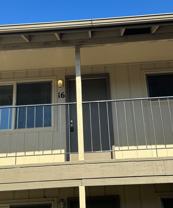 gollc1 - Photo 1 of 1