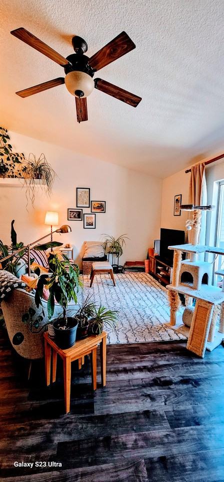 111 E Oak Ave #1 - Photo 3 of 16