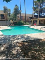 1341 E Fort Lowell Rd #M - Photo 1 of 1