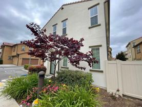 35795 Landon Ln - Photo 1 of 1