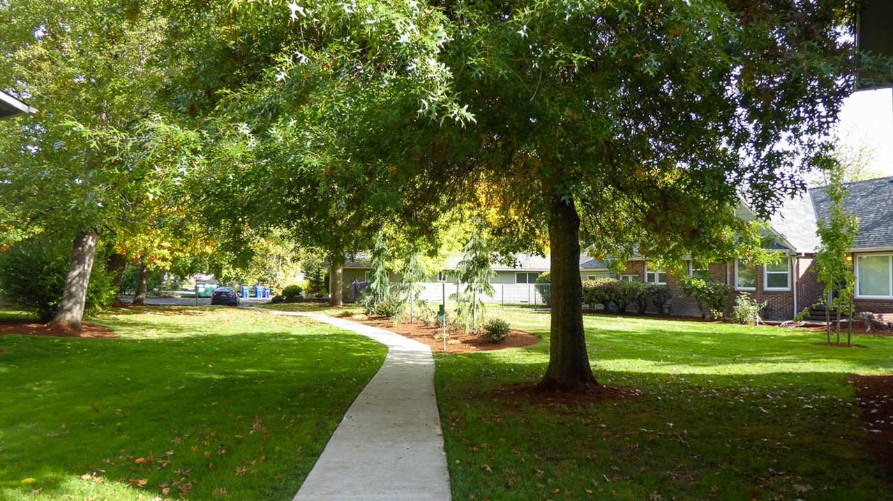 Timber Grove at Mt. Scott - Photo 5 of 50