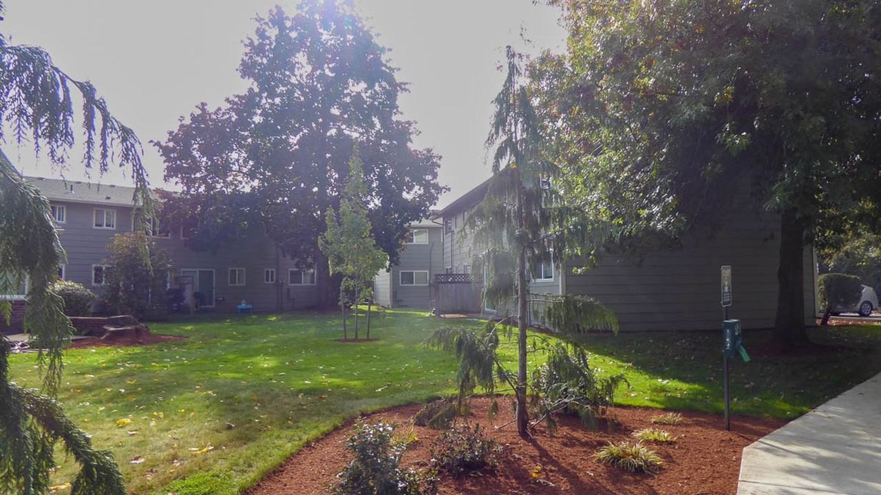 Timber Grove at Mt. Scott - Photo 6 of 50