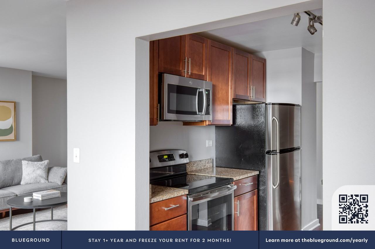 420 East Ohio Street - Photo 7 of 43