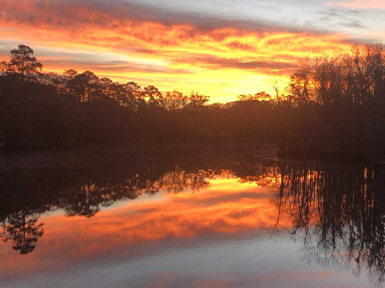 30035 Highway 444 #NA - Photo 2 of 5