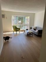 2135 Ivar Ave - Photo 1 of 1