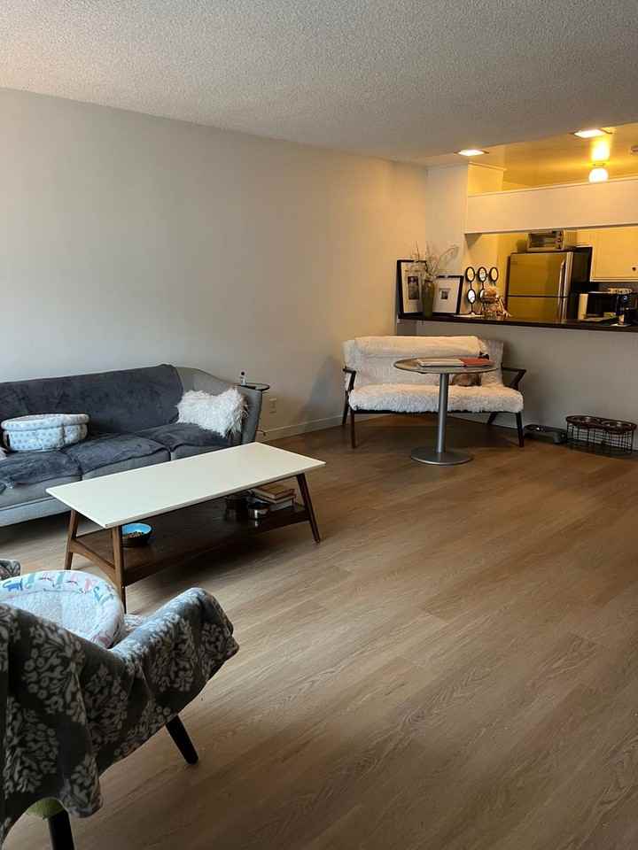 2135 Ivar Ave - Photo 6 of 38