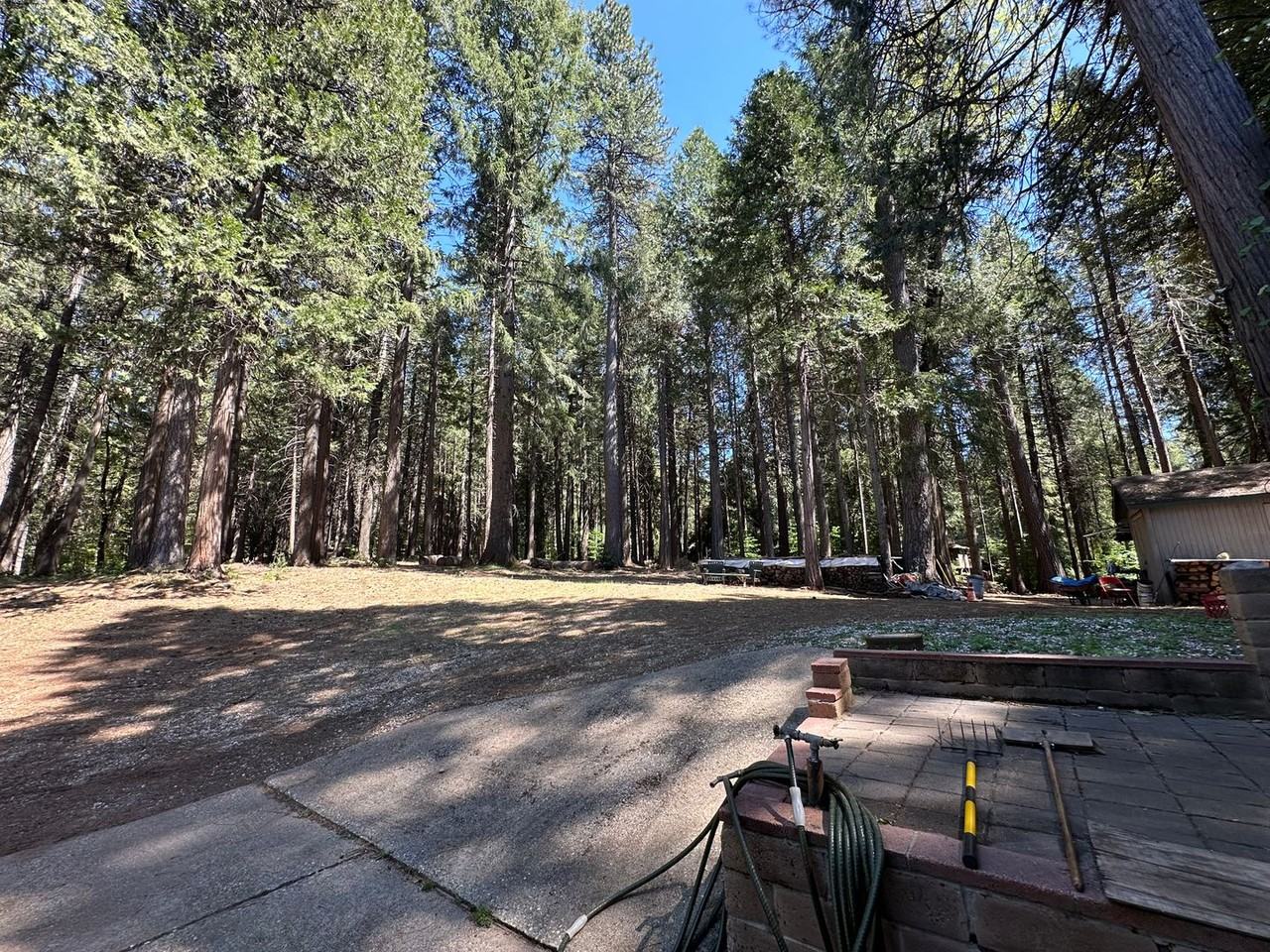12769 Gaston Dr - Photo 3 of 38
