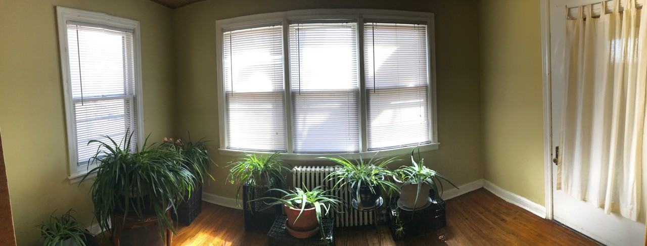 110 W 32nd St #NA - Photo 3 of 7