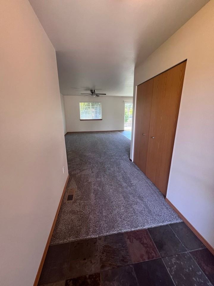 Shepherd - Photo 3 of 18