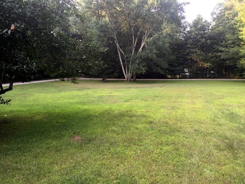 127 Buckley Rd - Photo 3 of 22