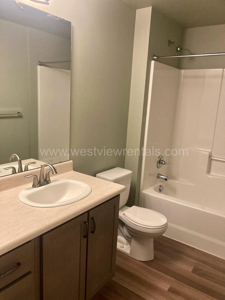 Condor - Photo 5 of 50