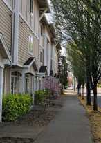 MF 11 - Cedarhurst Village Apartments - Photo 1 of 1