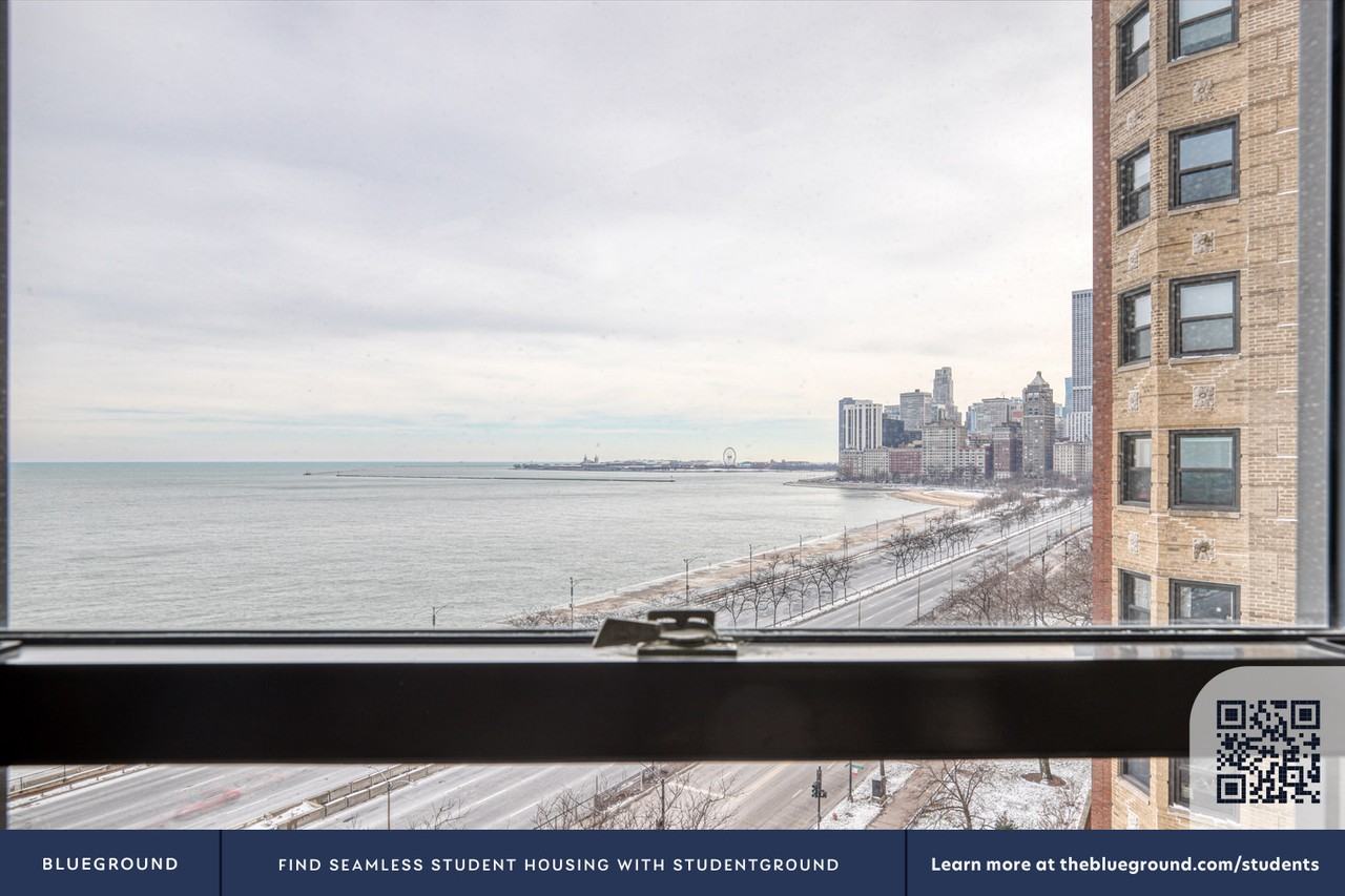 1400 North Lake Shore Drive - Photo 6 of 35