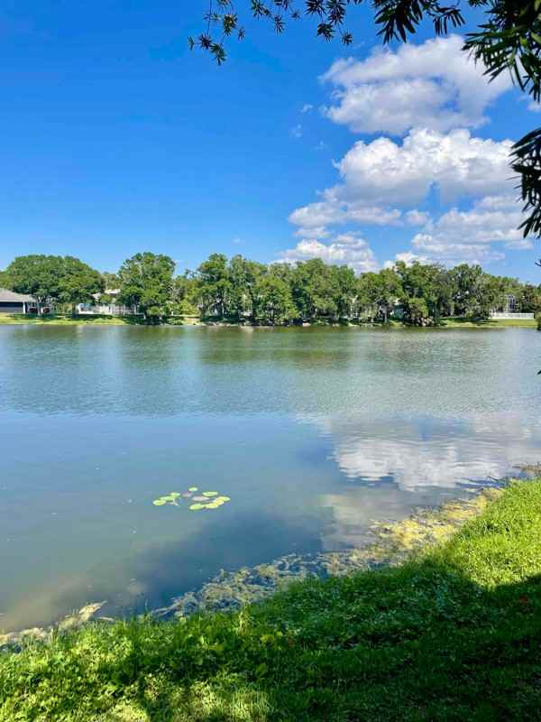 5717 Renzo Ln, Sarasota-Bradenton, FL 34243 bedroom House