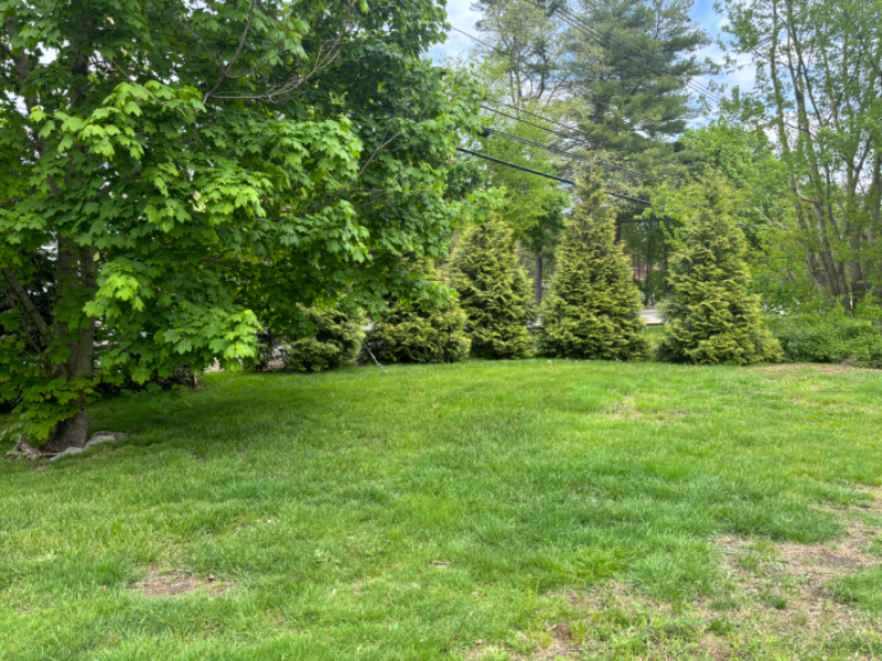 4 Maplecrest Dr #2 - Photo 3 of 18